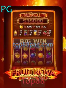 FruitNovaSuper40: Descubra o Mundo das Frutas com Top88